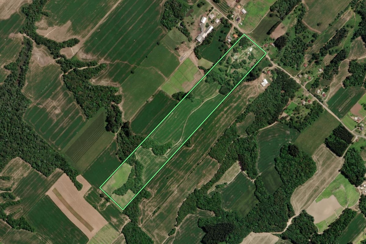 Imagem de satélite do imóvel rural em Paulo Frontin (PR), com o contorno declarado no CAR desenhado por cima.