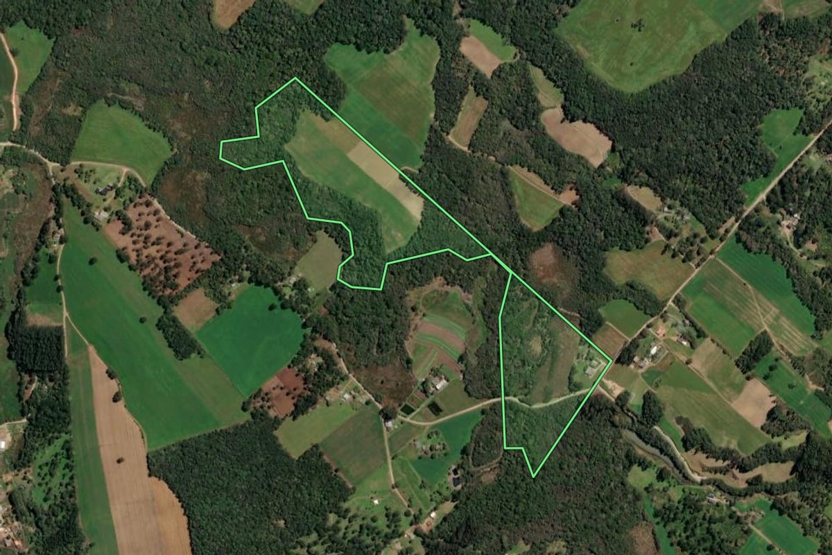 Imagem de satélite do imóvel rural em Paulo Frontin (PR), com o contorno declarado no CAR desenhado por cima.