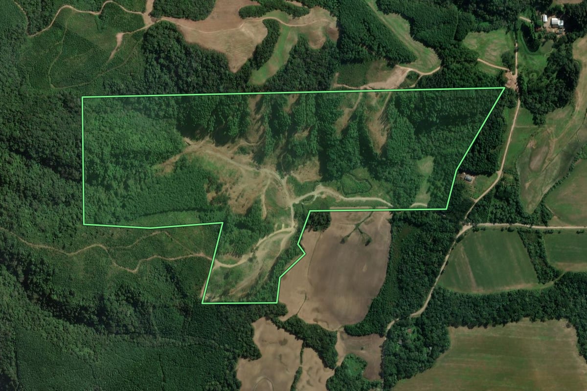 Imagem de satélite do imóvel rural em Paulo Frontin (PR), com o contorno declarado no CAR desenhado por cima.
