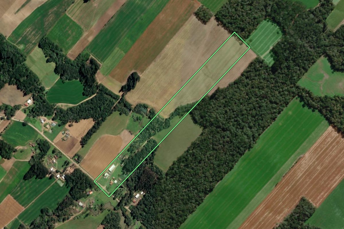 Imagem de satélite do imóvel rural em Paulo Frontin (PR), com o contorno declarado no CAR desenhado por cima.