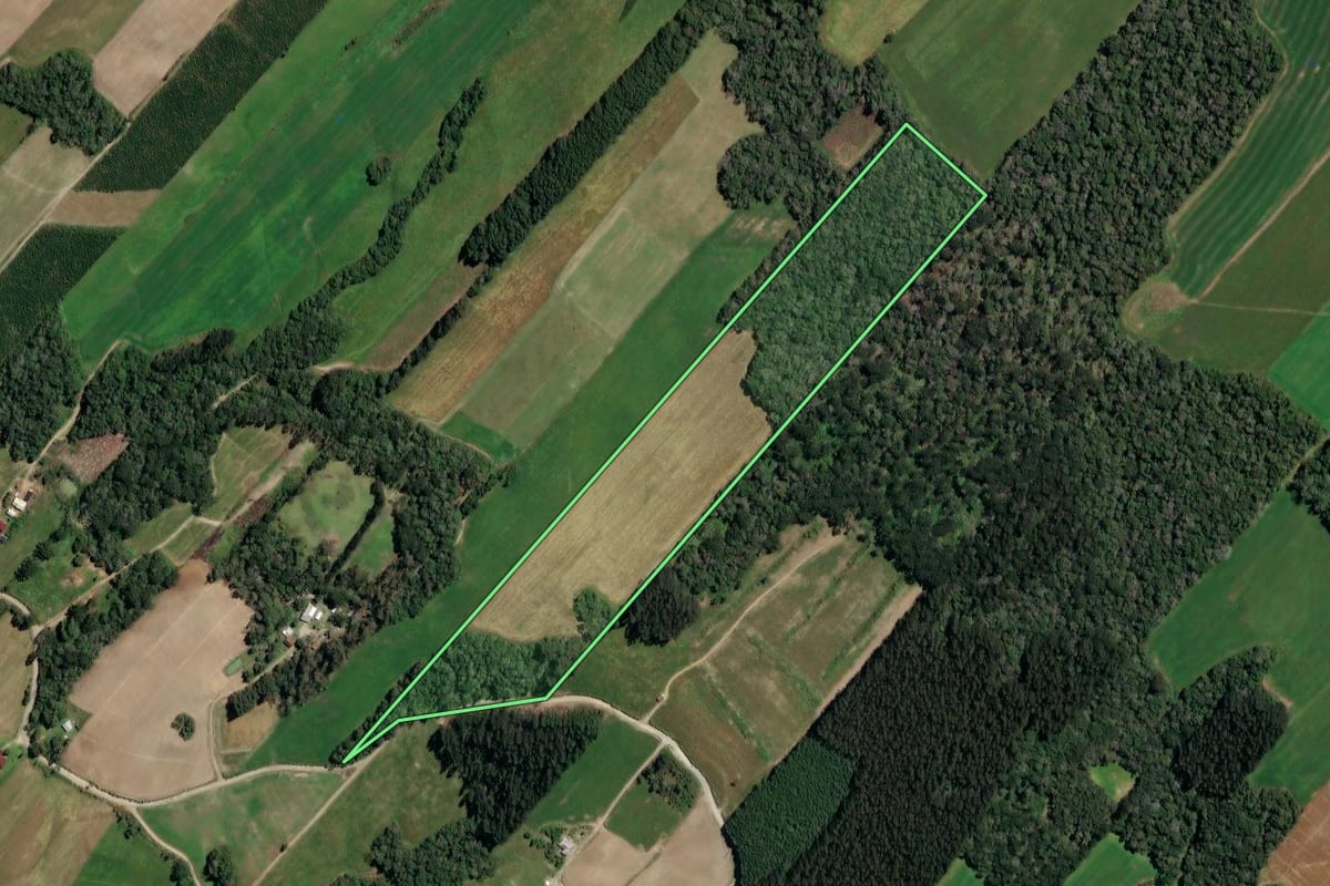 Imagem de satélite do imóvel rural em Paulo Frontin (PR), com o contorno declarado no CAR desenhado por cima.