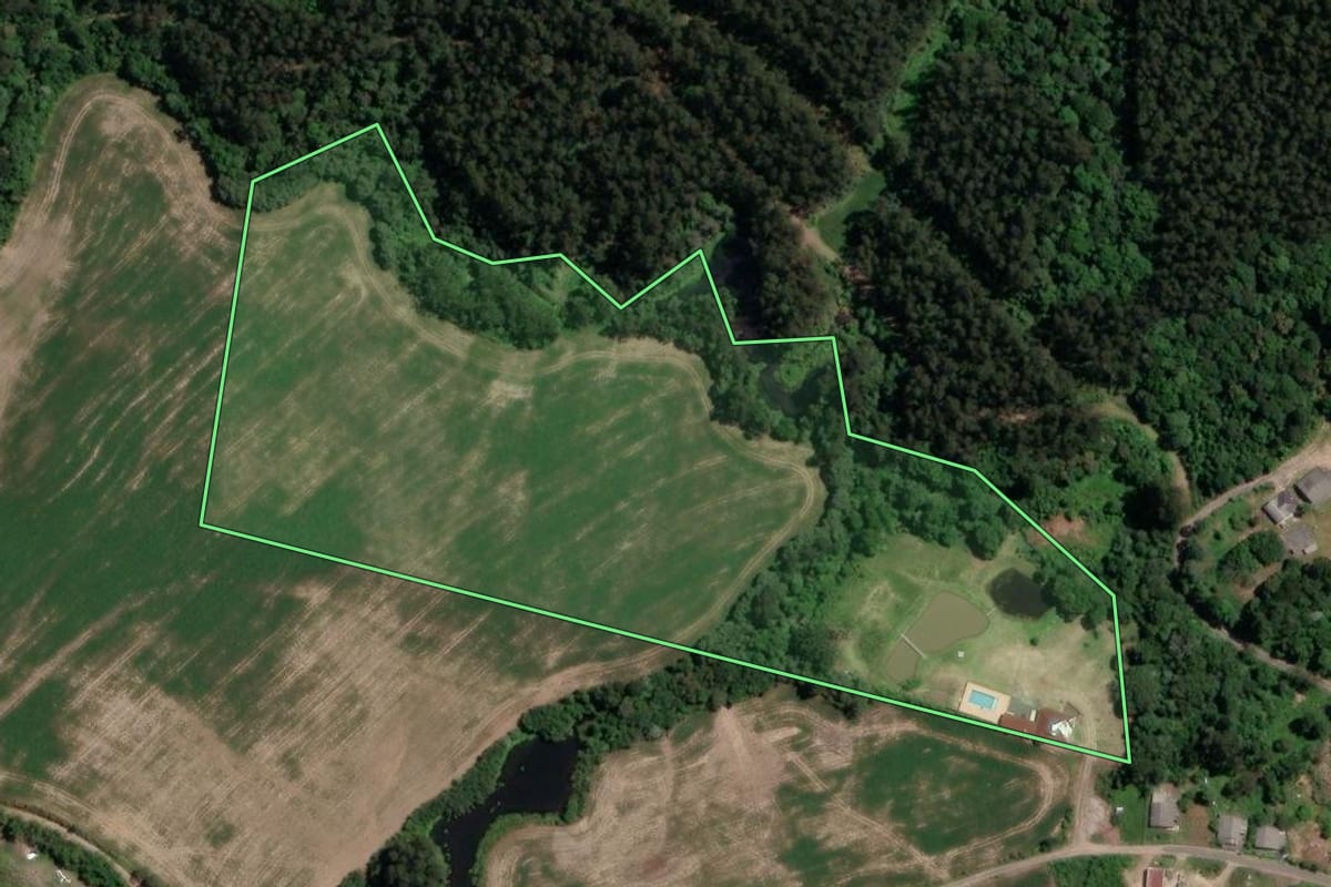 Imagem de satélite do imóvel rural em Paulo Frontin (PR), com o contorno declarado no CAR desenhado por cima.