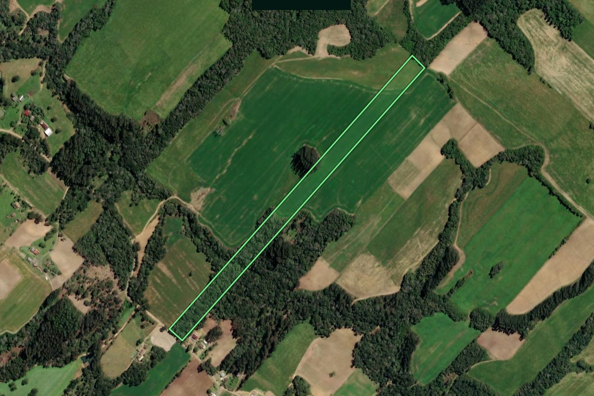 Imagem de satélite do imóvel rural em Paulo Frontin (PR), com o contorno declarado no CAR desenhado por cima.