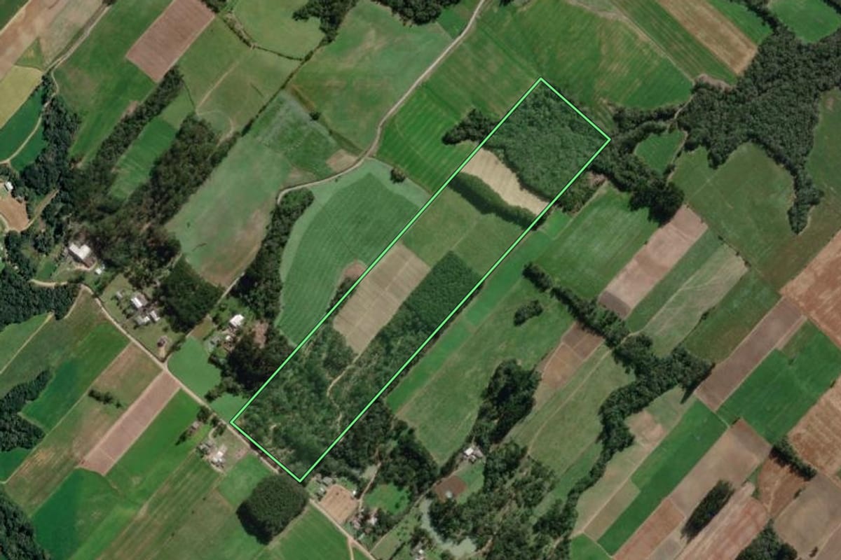 Imagem de satélite do imóvel rural em Paulo Frontin (PR), com o contorno declarado no CAR desenhado por cima.