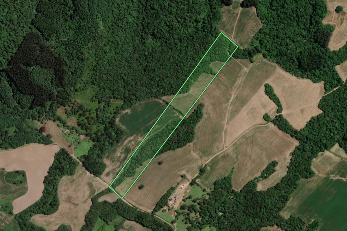 Imagem de satélite do imóvel rural em Paulo Frontin (PR), com o contorno declarado no CAR desenhado por cima.