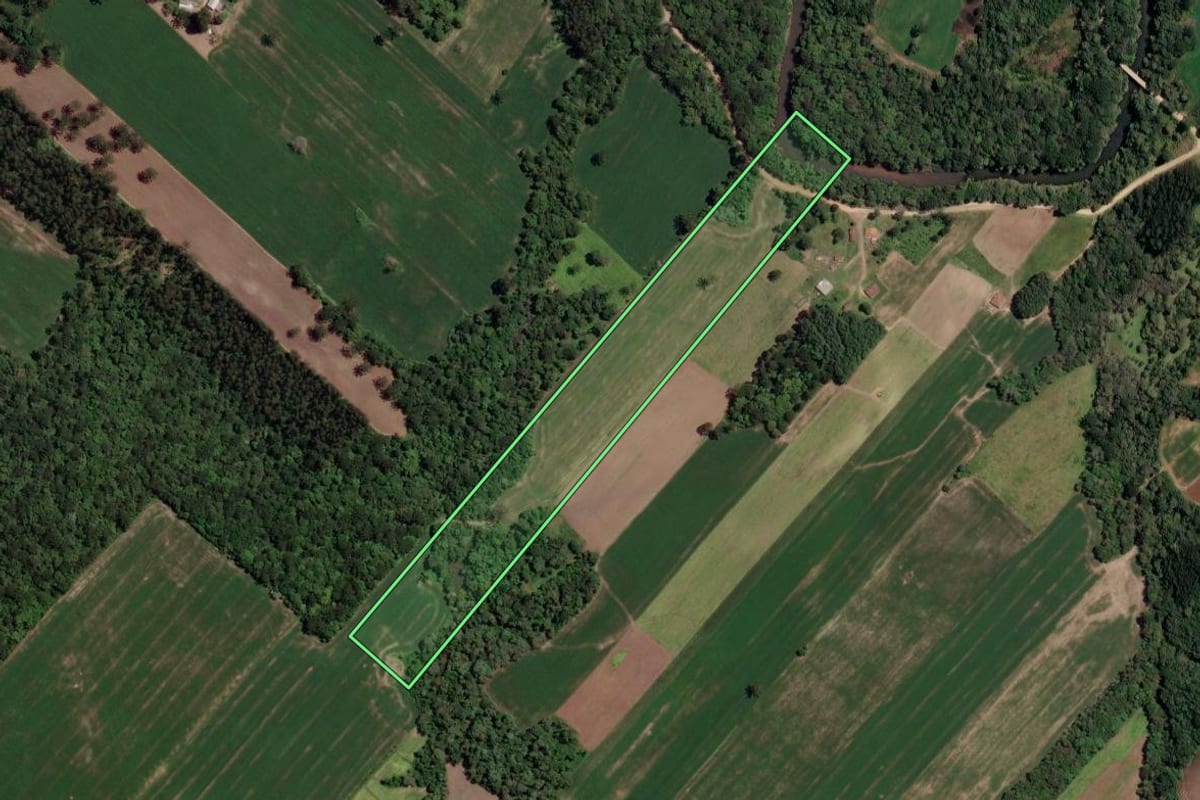 Imagem de satélite do imóvel rural em Paulo Frontin (PR), com o contorno declarado no CAR desenhado por cima.