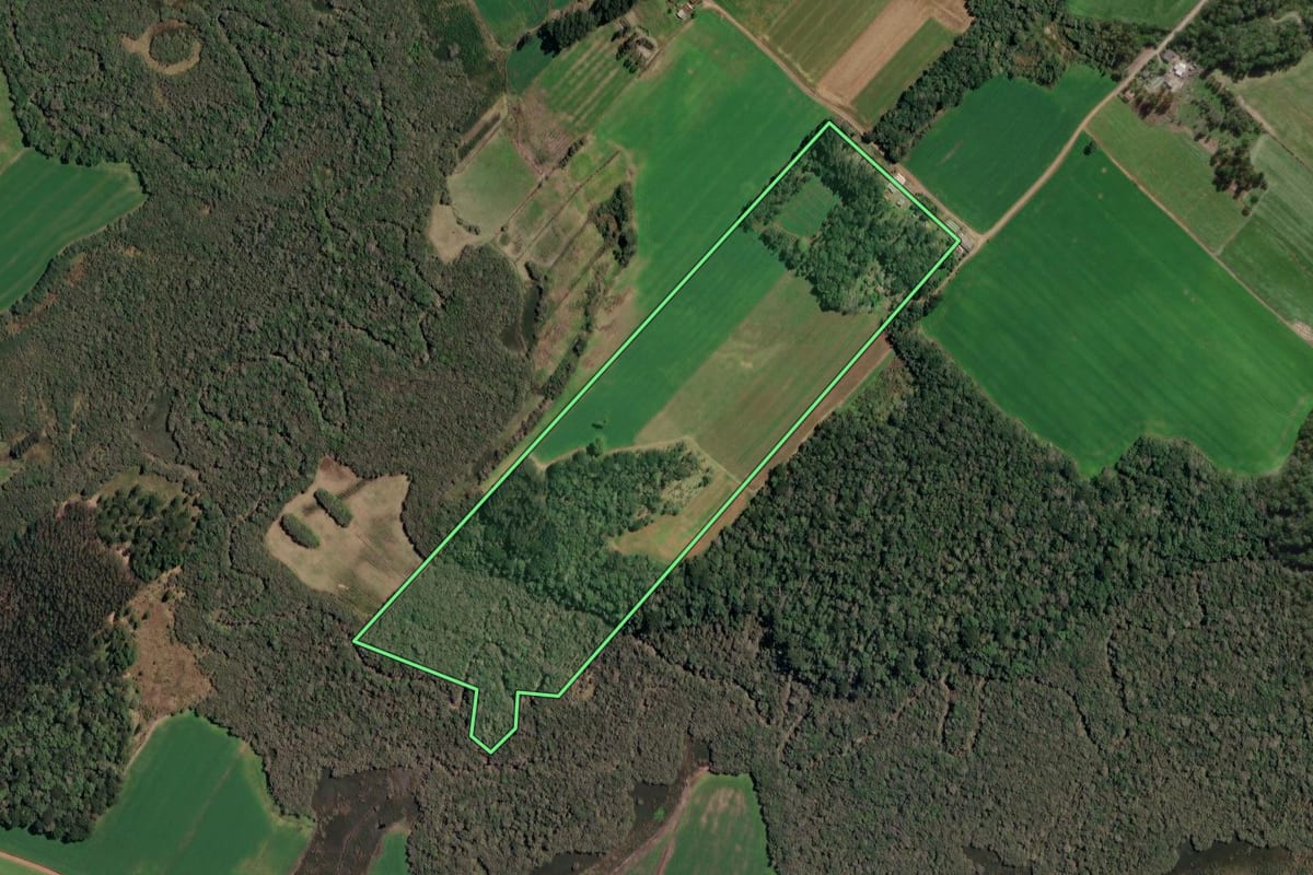Imagem de satélite do imóvel rural em Paulo Frontin (PR), com o contorno declarado no CAR desenhado por cima.