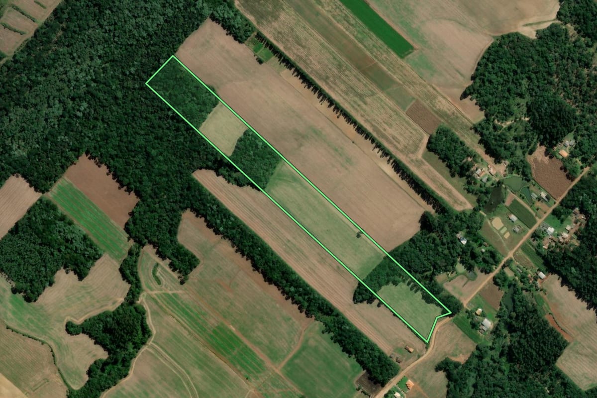 Imagem de satélite do imóvel rural em Paulo Frontin (PR), com o contorno declarado no CAR desenhado por cima.