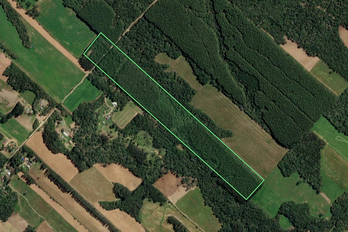 Imagem de satélite do imóvel rural em Paulo Frontin (PR), com o contorno declarado no CAR desenhado por cima.