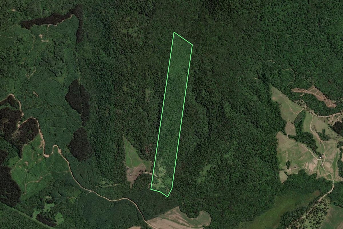 Imagem de satélite do imóvel rural em Paulo Frontin (PR), com o contorno declarado no CAR desenhado por cima.