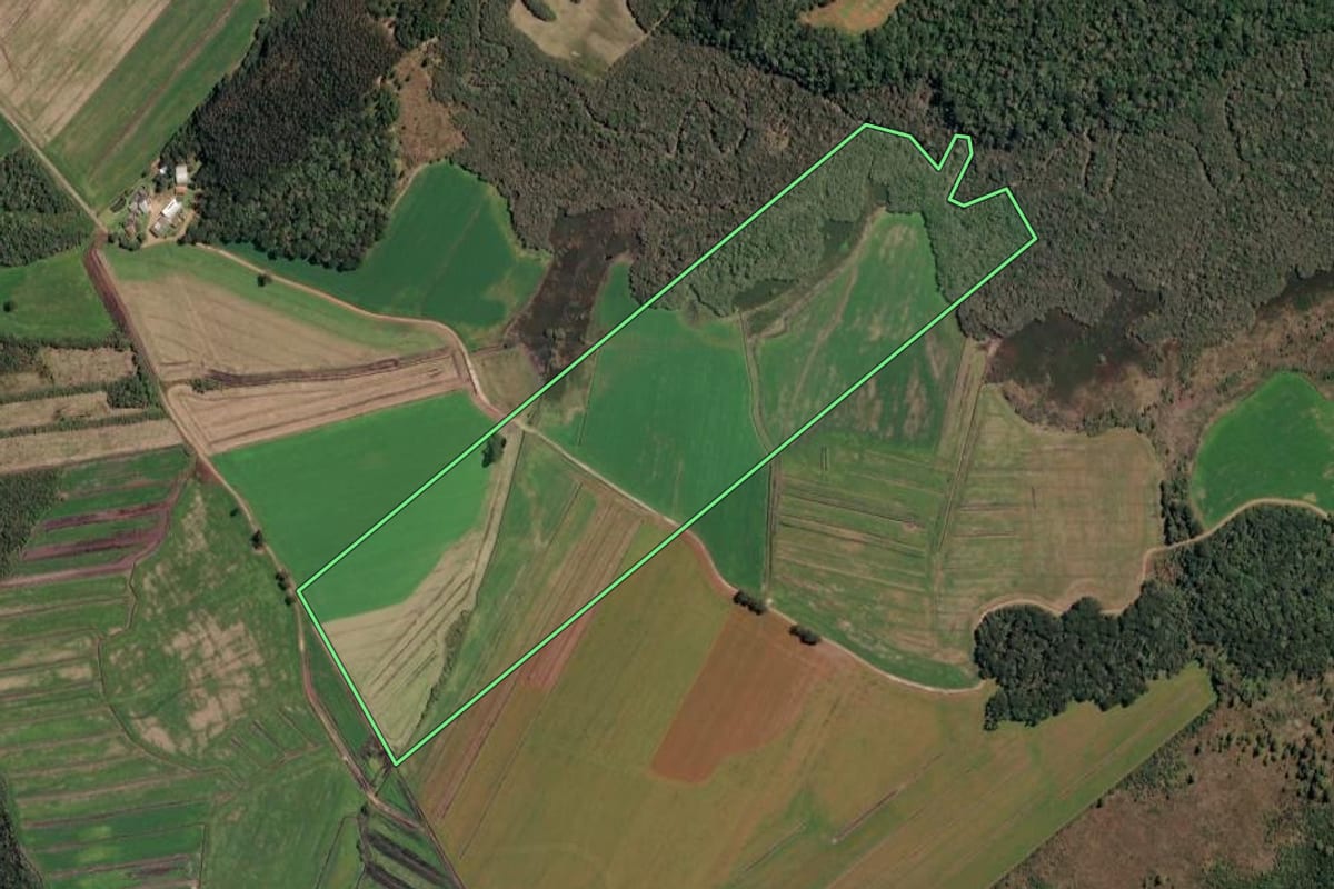 Imagem de satélite do imóvel rural em Paulo Frontin (PR), com o contorno declarado no CAR desenhado por cima.