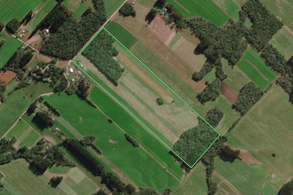 Imagem de satélite do imóvel rural em Paulo Frontin (PR), com o contorno declarado no CAR desenhado por cima.