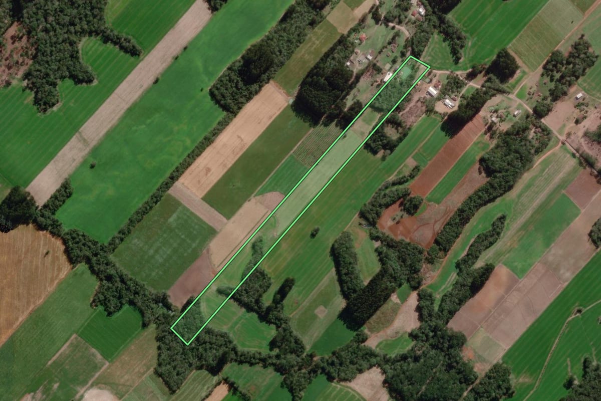 Imagem de satélite do imóvel rural em Paulo Frontin (PR), com o contorno declarado no CAR desenhado por cima.