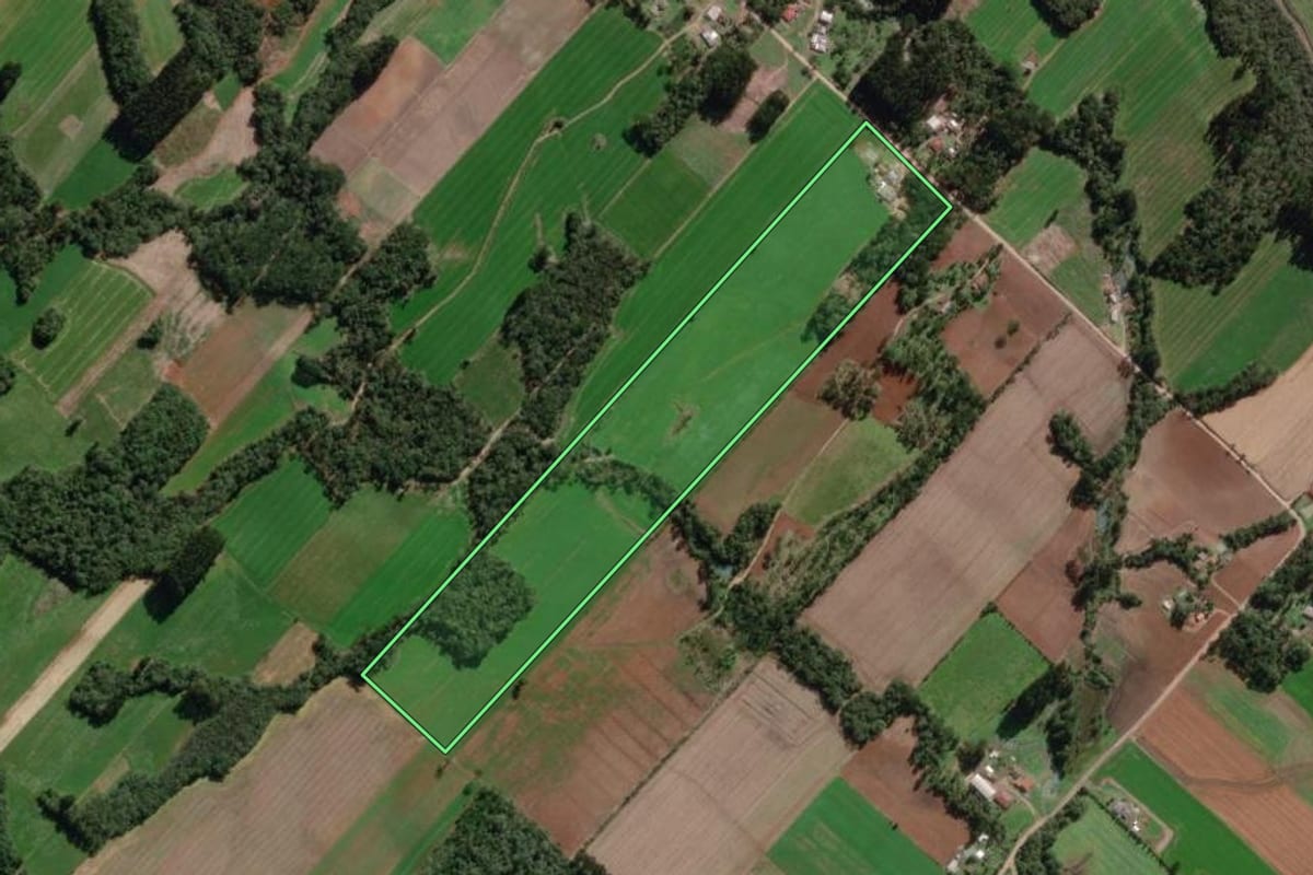 Imagem de satélite do imóvel rural em Paulo Frontin (PR), com o contorno declarado no CAR desenhado por cima.