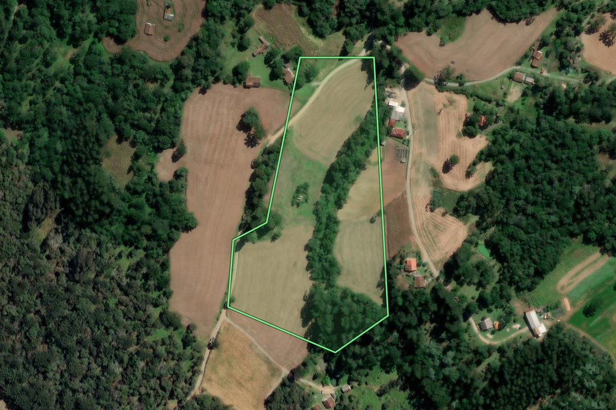 Imagem de satélite do imóvel rural em Paulo Frontin (PR), com o contorno declarado no CAR desenhado por cima.