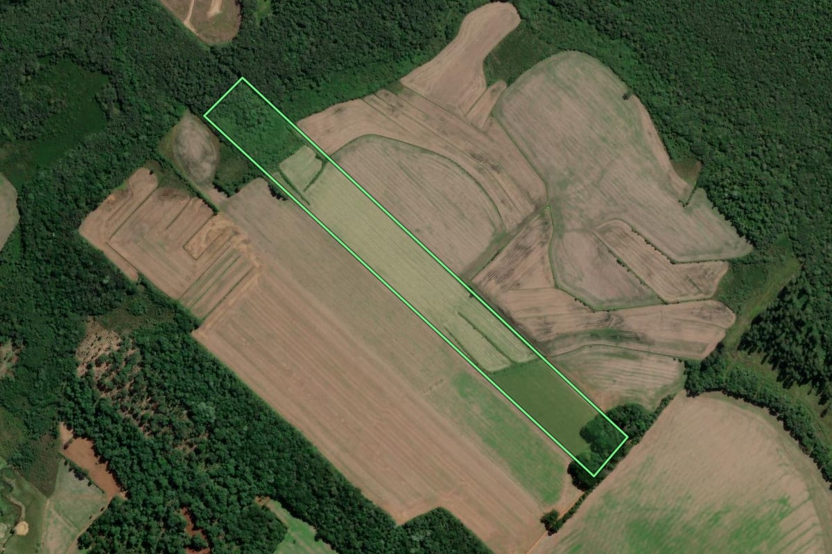 Imagem de satélite do imóvel rural em Paulo Frontin (PR), com o contorno declarado no CAR desenhado por cima.