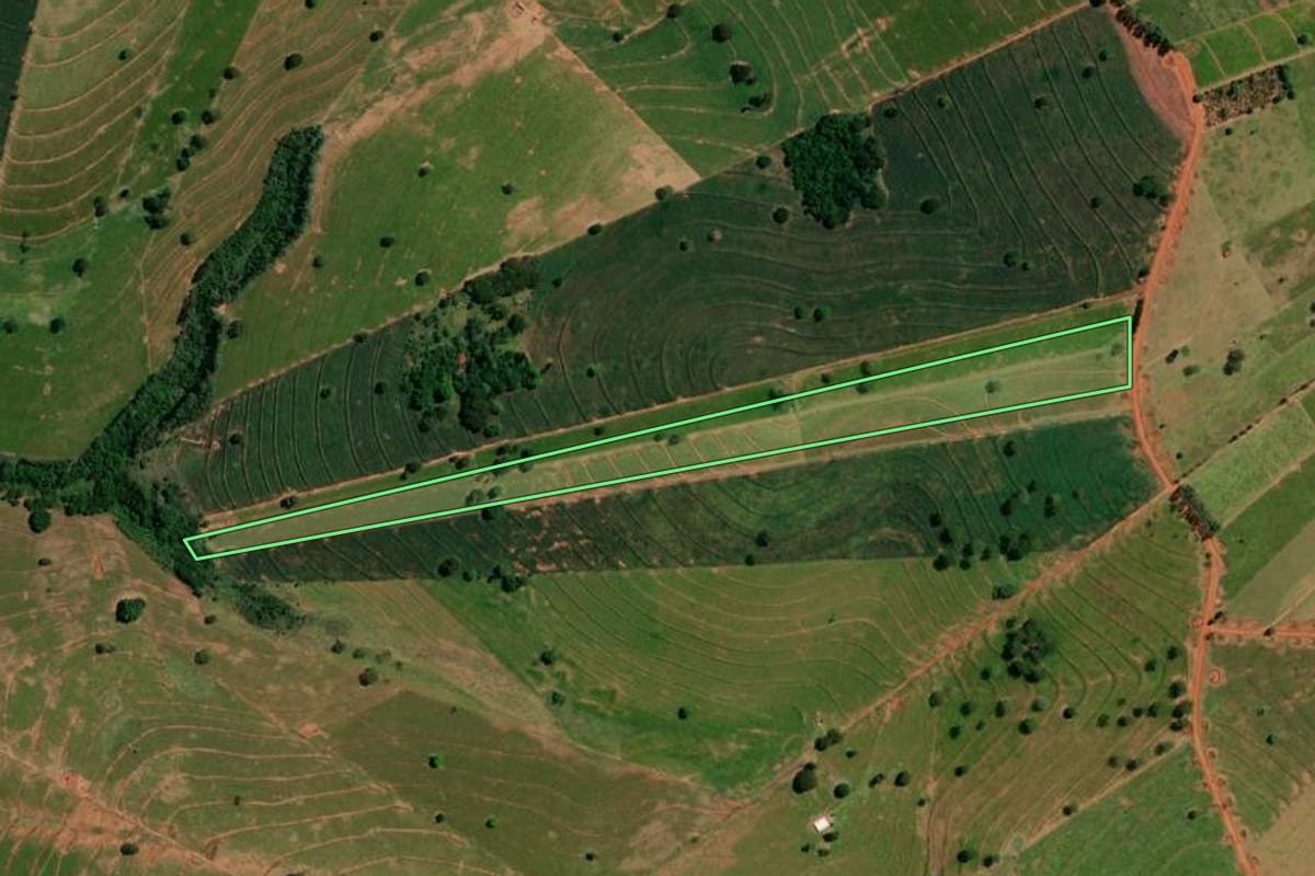 Imagem de satélite do imóvel rural em Pérola (PR), com o contorno declarado no CAR desenhado por cima.