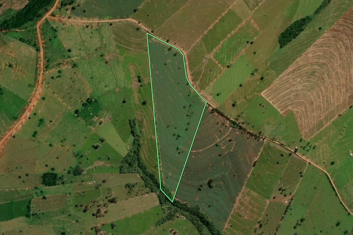 Imagem de satélite do imóvel rural em Pérola (PR), com o contorno declarado no CAR desenhado por cima.