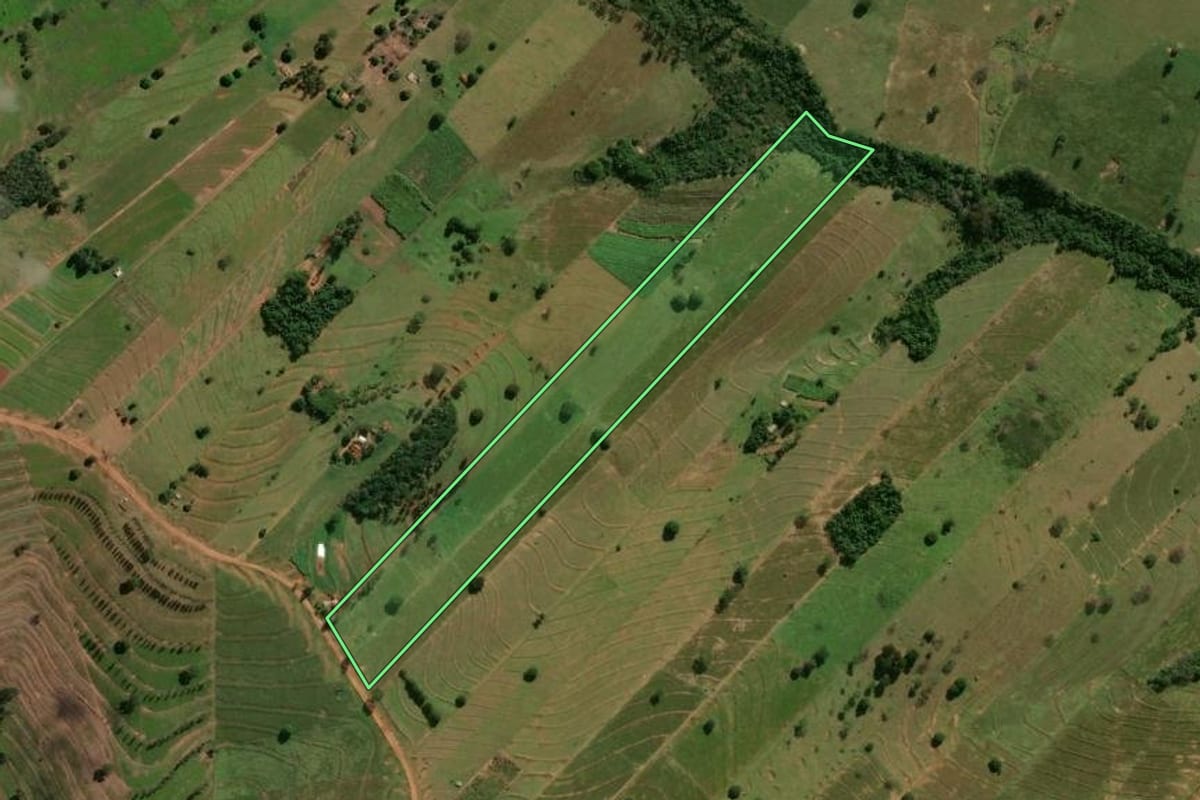 Imagem de satélite do imóvel rural em Pérola (PR), com o contorno declarado no CAR desenhado por cima.