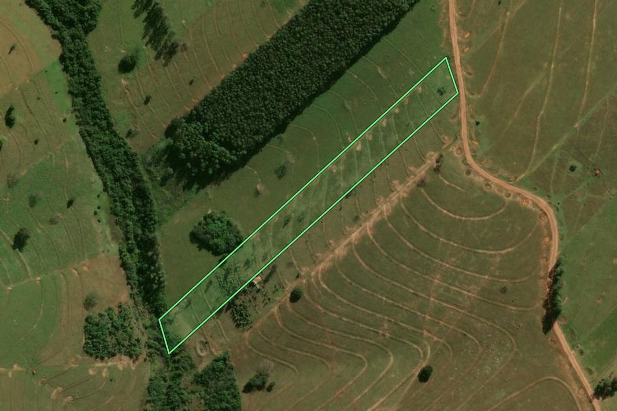 Imagem de satélite do imóvel rural em Pérola (PR), com o contorno declarado no CAR desenhado por cima.