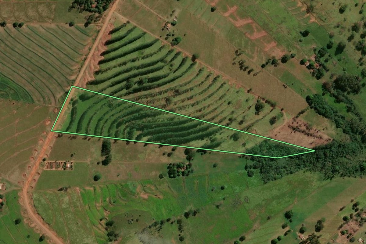 Imagem de satélite do imóvel rural em Pérola (PR), com o contorno declarado no CAR desenhado por cima.