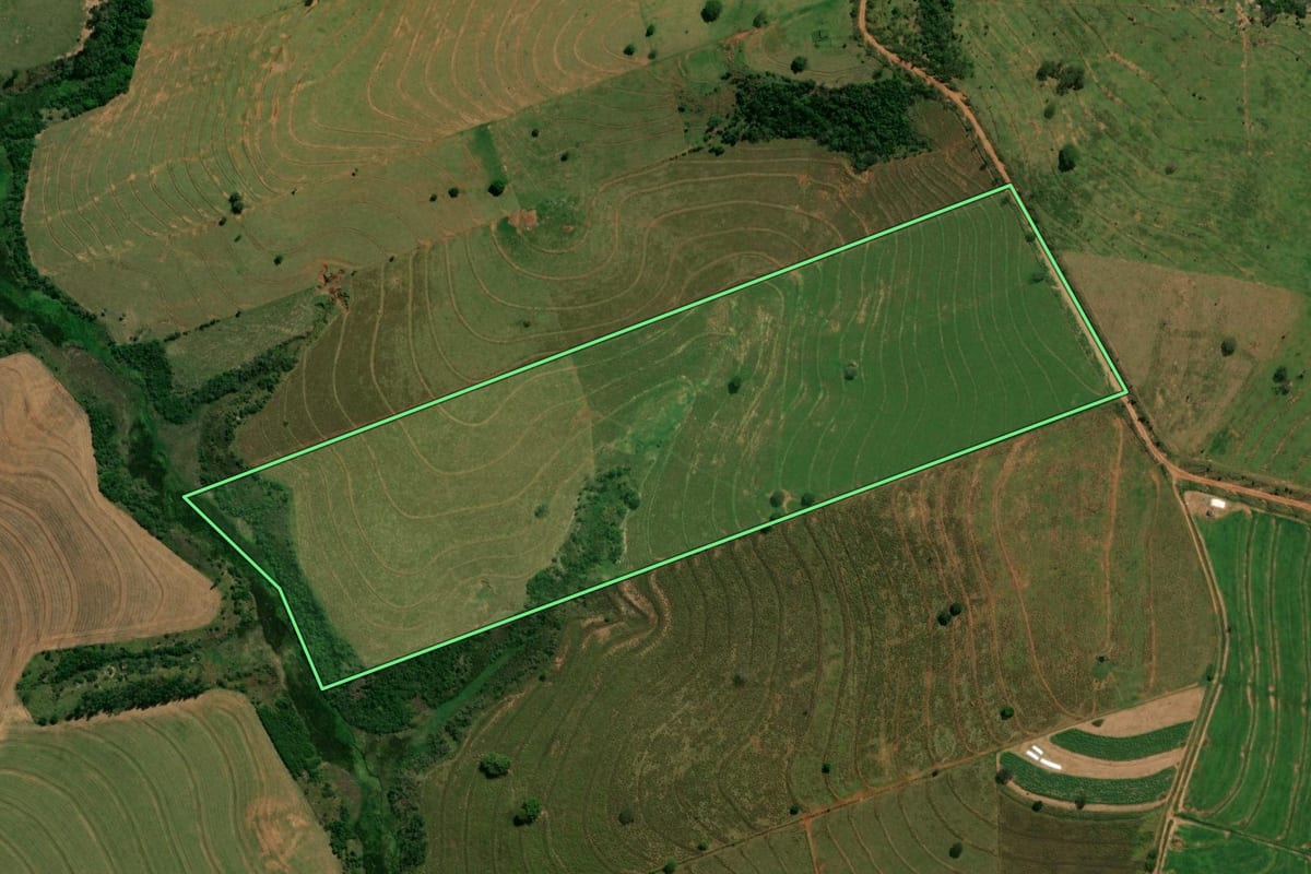 Imagem de satélite do imóvel rural em Pérola (PR), com o contorno declarado no CAR desenhado por cima.