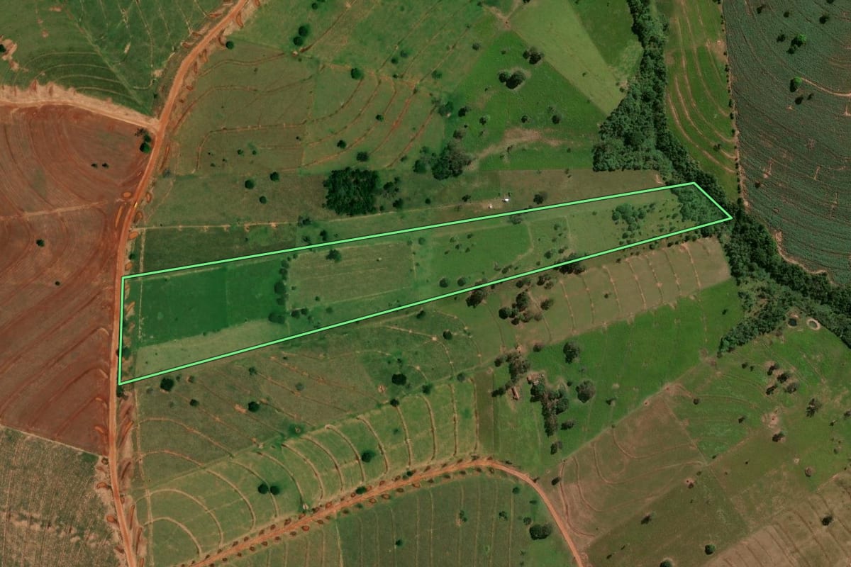 Imagem de satélite do imóvel rural em Pérola (PR), com o contorno declarado no CAR desenhado por cima.