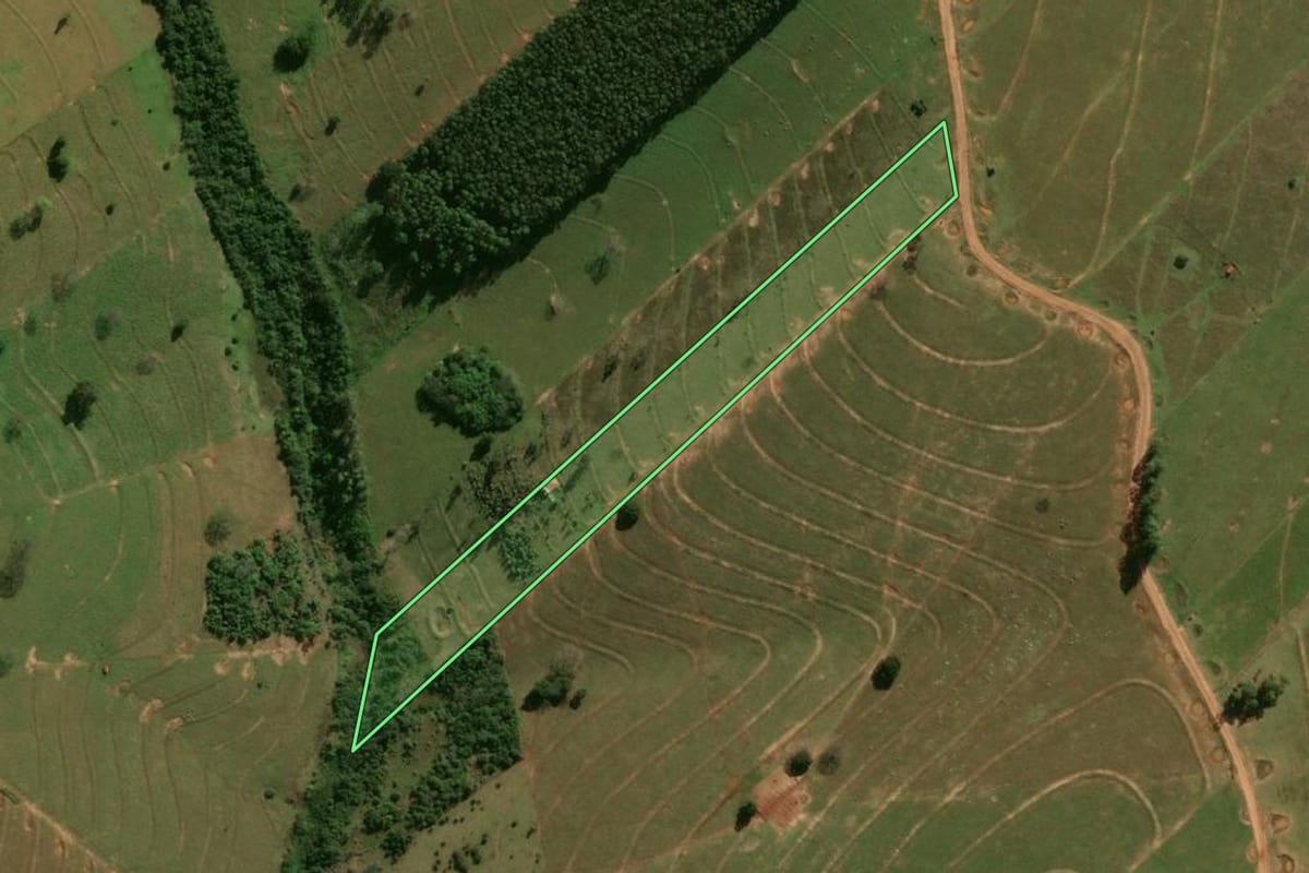 Imagem de satélite do imóvel rural em Pérola (PR), com o contorno declarado no CAR desenhado por cima.