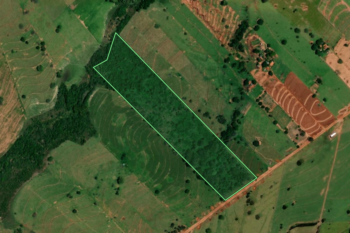Imagem de satélite do imóvel rural em Pérola (PR), com o contorno declarado no CAR desenhado por cima.