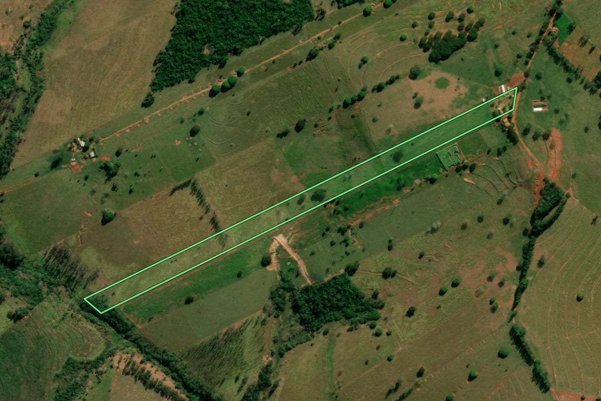 Imagem de satélite do imóvel rural em Pérola (PR), com o contorno declarado no CAR desenhado por cima.