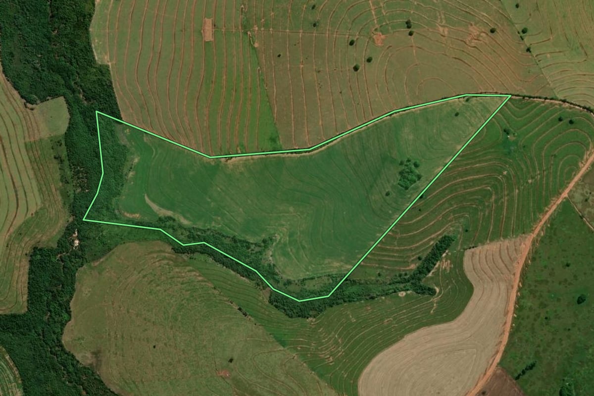 Imagem de satélite do imóvel rural em Pérola (PR), com o contorno declarado no CAR desenhado por cima.