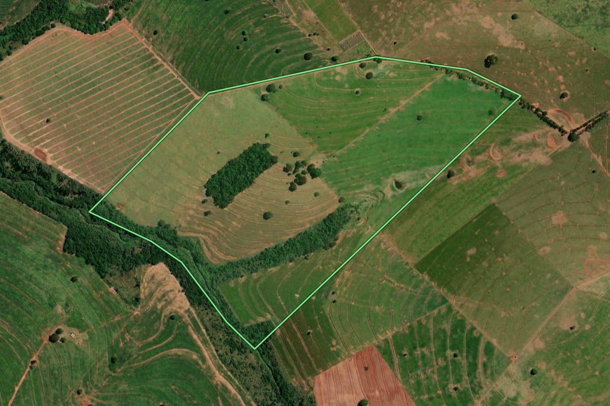 Imagem de satélite do imóvel rural em Pérola (PR), com o contorno declarado no CAR desenhado por cima.