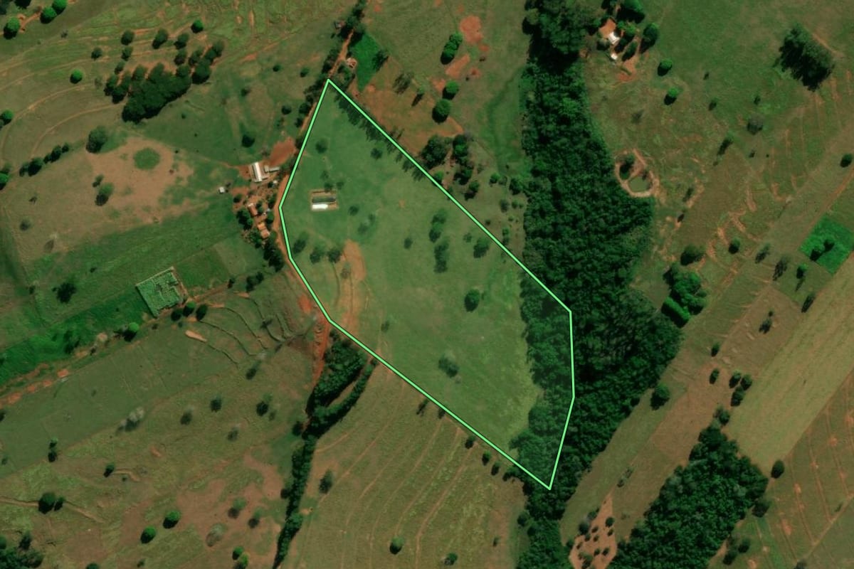 Imagem de satélite do imóvel rural em Pérola (PR), com o contorno declarado no CAR desenhado por cima.