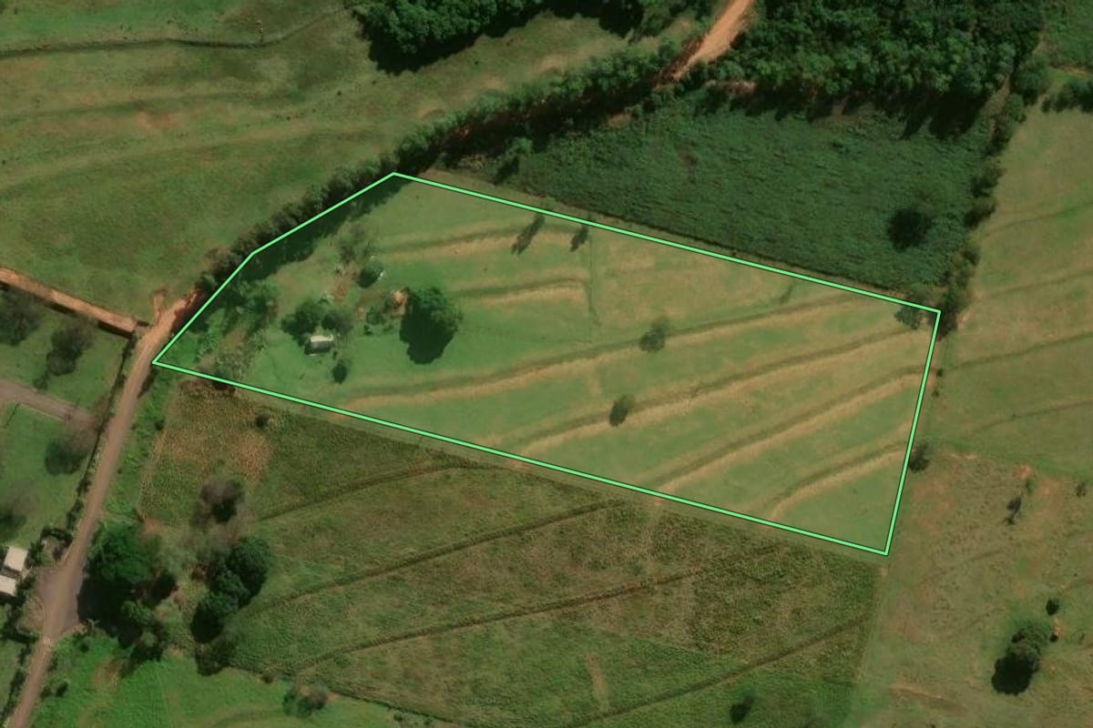 Imagem de satélite do imóvel rural em Pérola (PR), com o contorno declarado no CAR desenhado por cima.