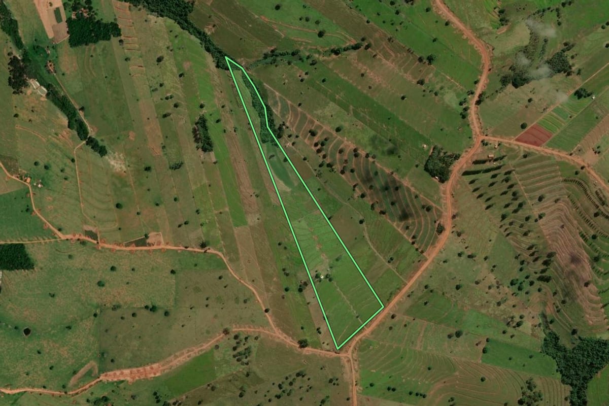 Imagem de satélite do imóvel rural em Pérola (PR), com o contorno declarado no CAR desenhado por cima.