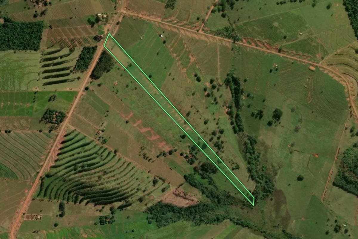 Imagem de satélite do imóvel rural em Pérola (PR), com o contorno declarado no CAR desenhado por cima.