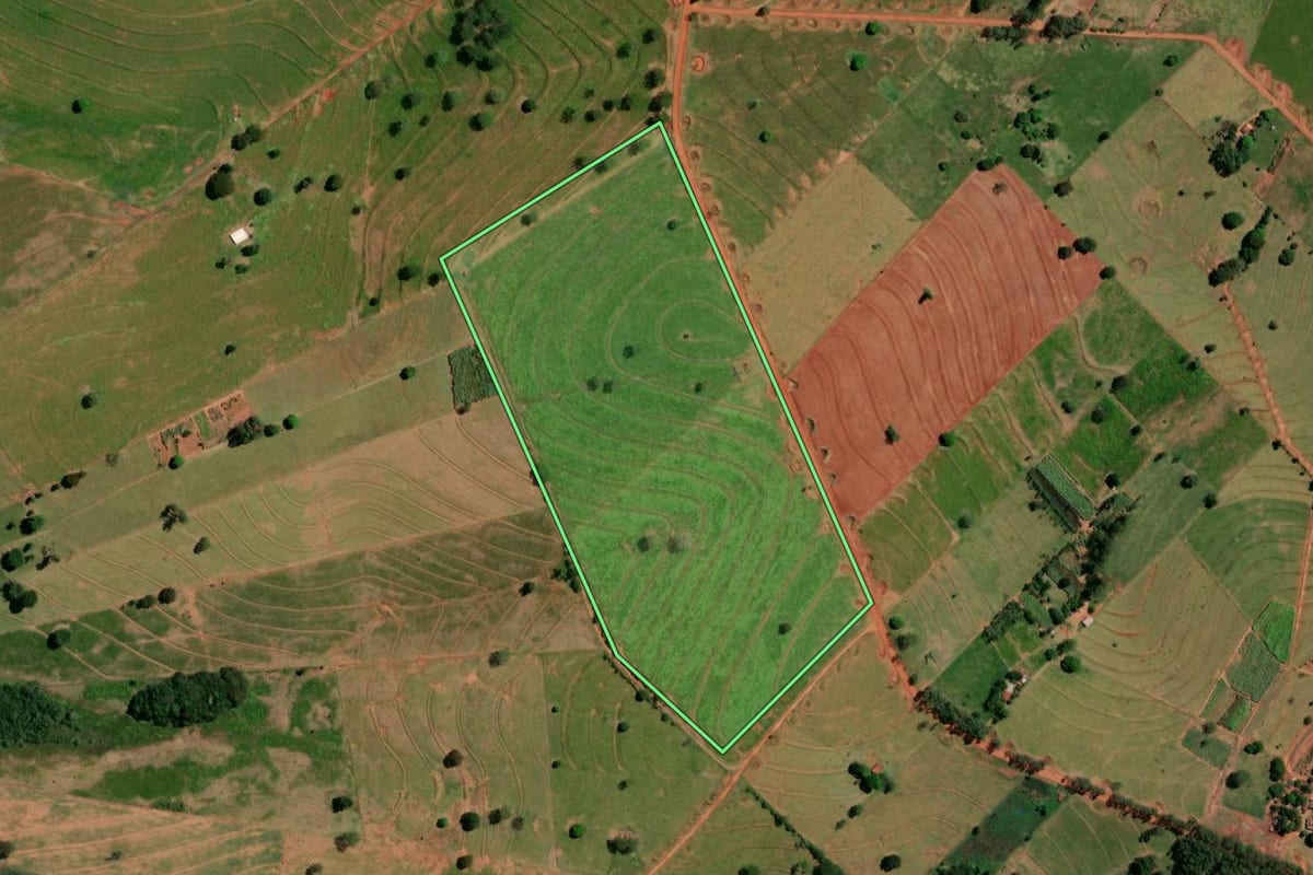 Imagem de satélite do imóvel rural em Pérola (PR), com o contorno declarado no CAR desenhado por cima.