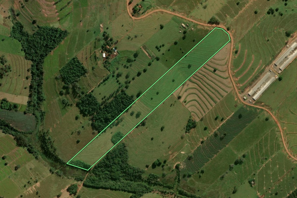 Imagem de satélite do imóvel rural em Pérola (PR), com o contorno declarado no CAR desenhado por cima.