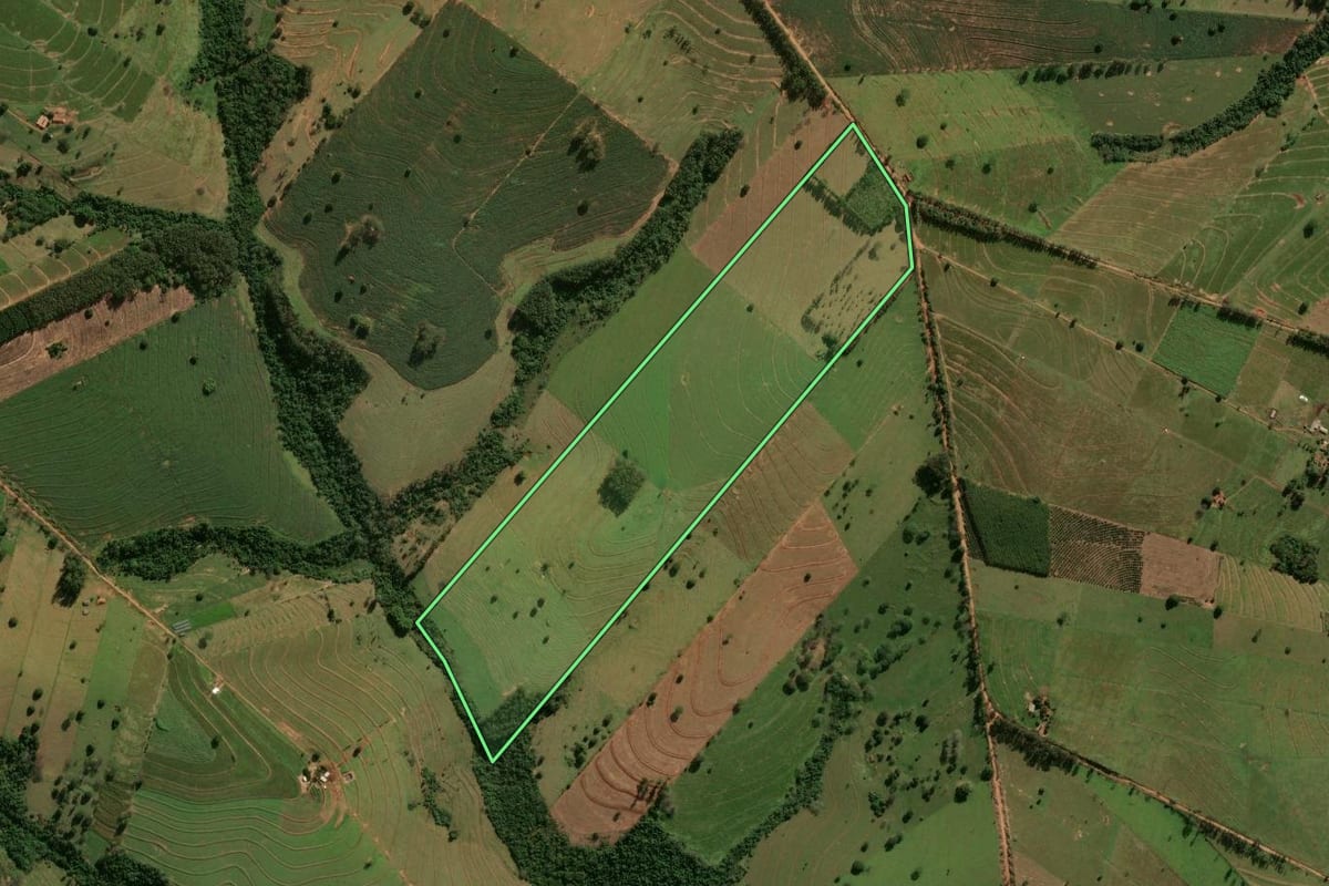 Imagem de satélite do imóvel rural em Pérola (PR), com o contorno declarado no CAR desenhado por cima.