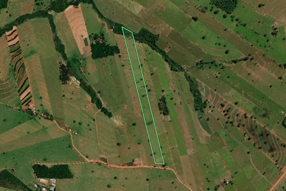 Imagem de satélite do imóvel rural em Pérola (PR), com o contorno declarado no CAR desenhado por cima.