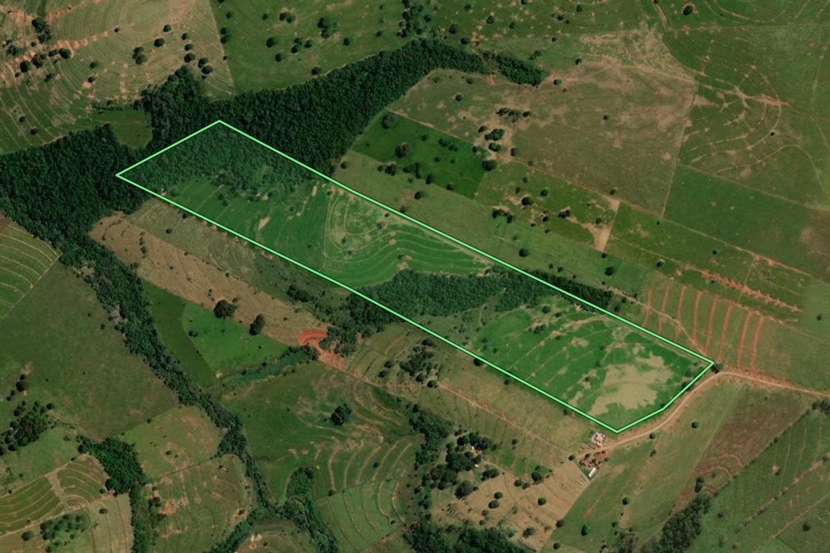 Imagem de satélite do imóvel rural em Pérola (PR), com o contorno declarado no CAR desenhado por cima.