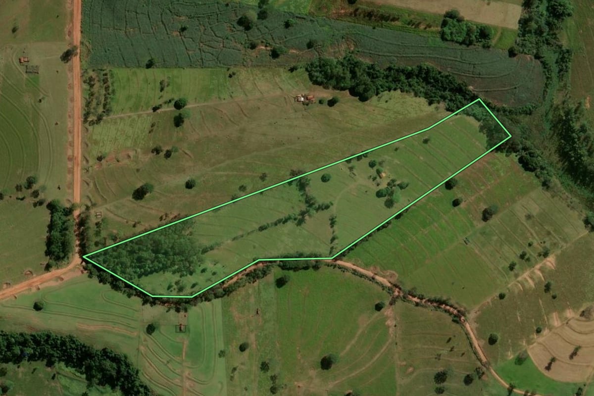 Imagem de satélite do imóvel rural em Pérola (PR), com o contorno declarado no CAR desenhado por cima.
