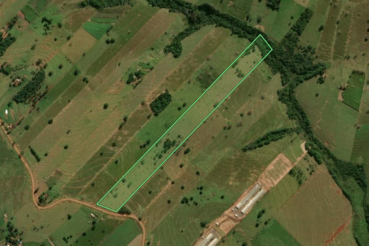 Imagem de satélite do imóvel rural em Pérola (PR), com o contorno declarado no CAR desenhado por cima.