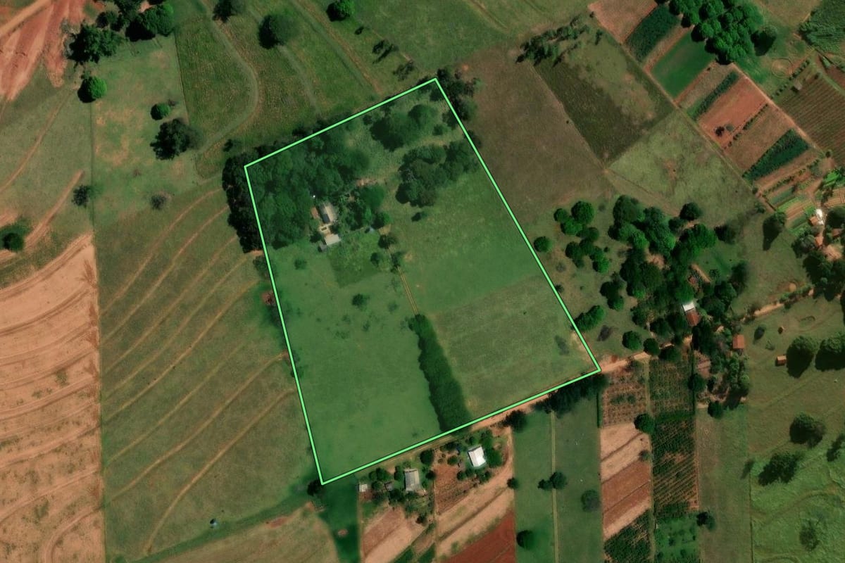 Imagem de satélite do imóvel rural em Pérola (PR), com o contorno declarado no CAR desenhado por cima.