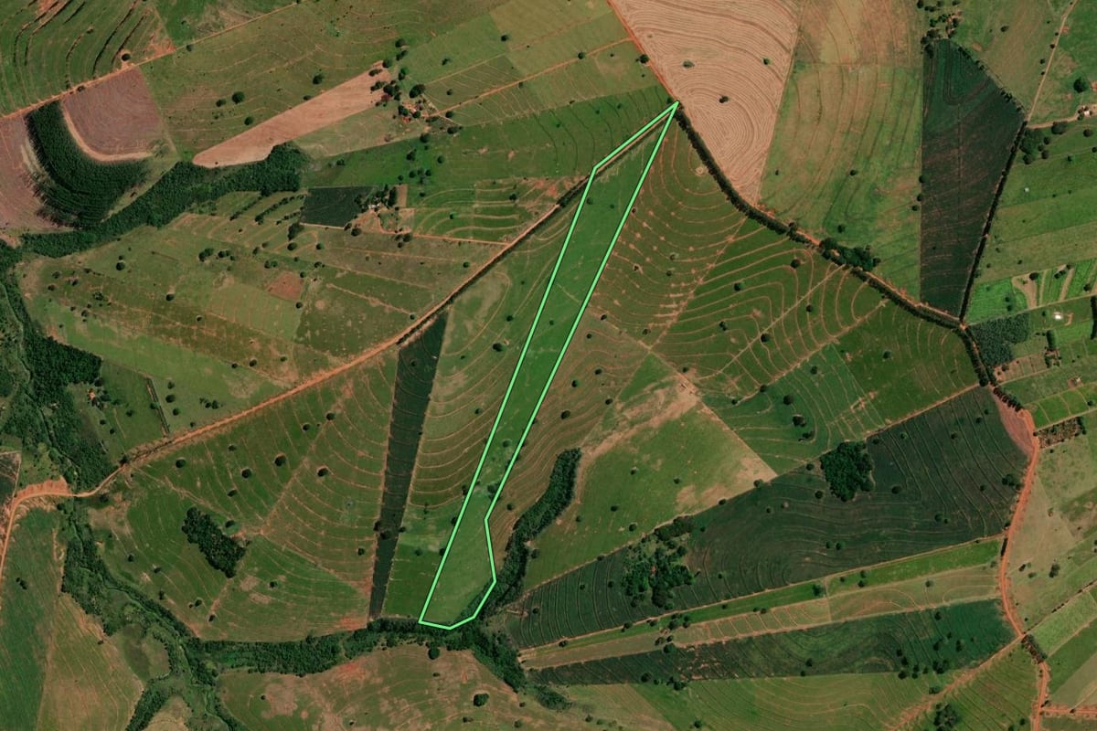 Imagem de satélite do imóvel rural em Pérola (PR), com o contorno declarado no CAR desenhado por cima.