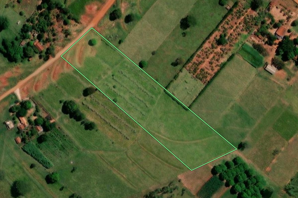 Imagem de satélite do imóvel rural em Pérola (PR), com o contorno declarado no CAR desenhado por cima.
