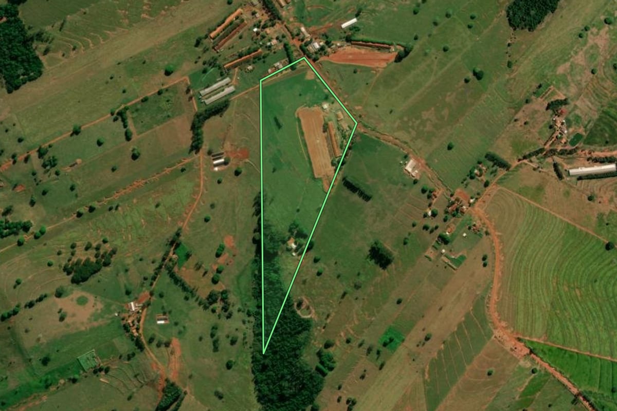 Imagem de satélite do imóvel rural em Pérola (PR), com o contorno declarado no CAR desenhado por cima.