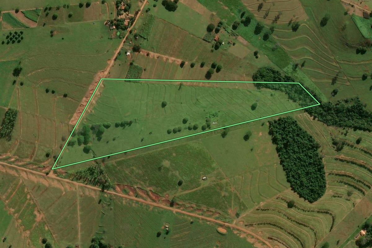 Imagem de satélite do imóvel rural em Pérola (PR), com o contorno declarado no CAR desenhado por cima.