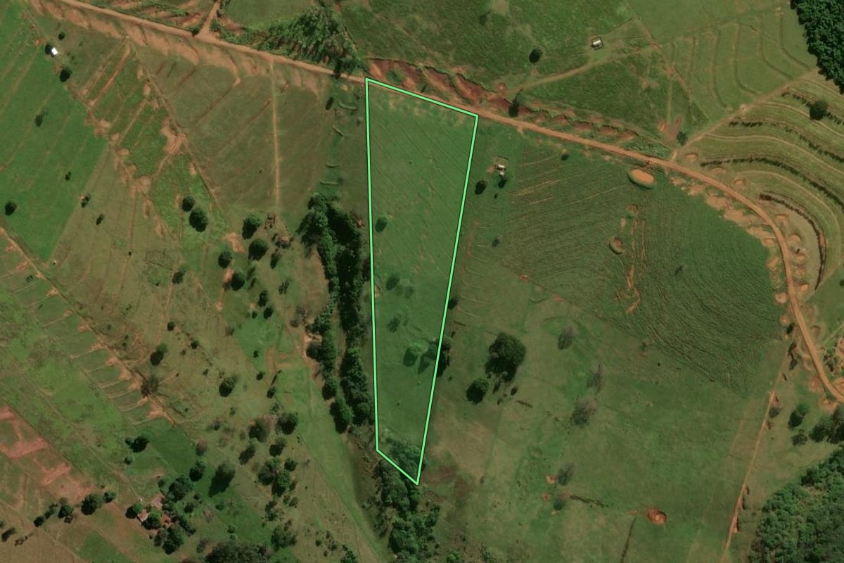Imagem de satélite do imóvel rural em Pérola (PR), com o contorno declarado no CAR desenhado por cima.