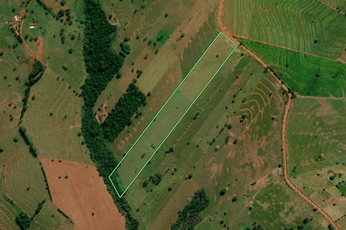 Imagem de satélite do imóvel rural em Pérola (PR), com o contorno declarado no CAR desenhado por cima.